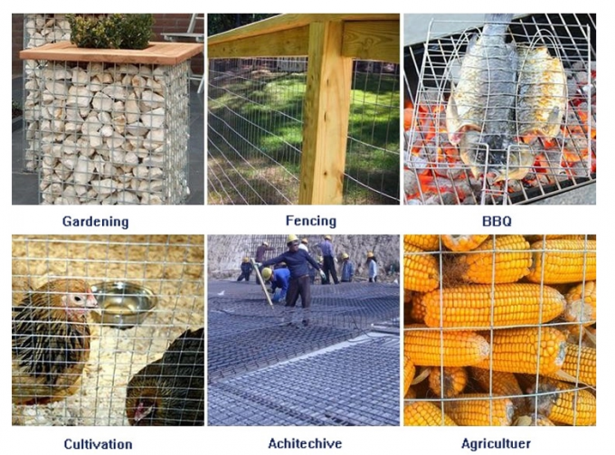 rede de arame soldada de aço inoxidável larga da polegada 1m de 0.9mm 1/2 1